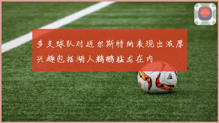 多支球队对迈尔斯特纳表现出浓厚兴趣包括湖人鹈鹕猛龙在内