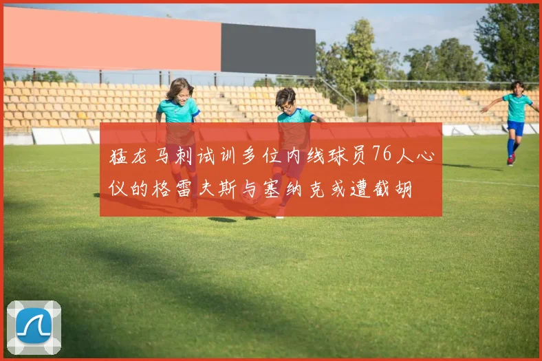 猛龙马刺试训多位内线球员76人心仪的格雷夫斯与塞纳克或遭截胡
